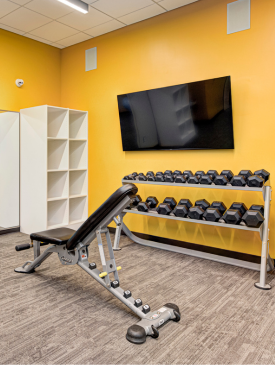Virtual Tours  (10)